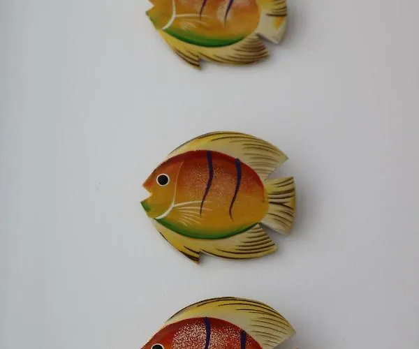 Solar Do Diabrete * נאזרה